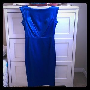 Beautiful Vintage Inspired Club Monaco Dress